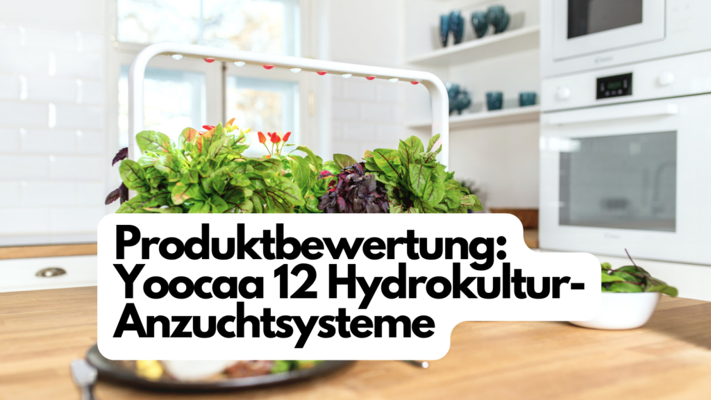 Produktbewertung Yoocaa 12 Hydrokultur Anzuchtsysteme